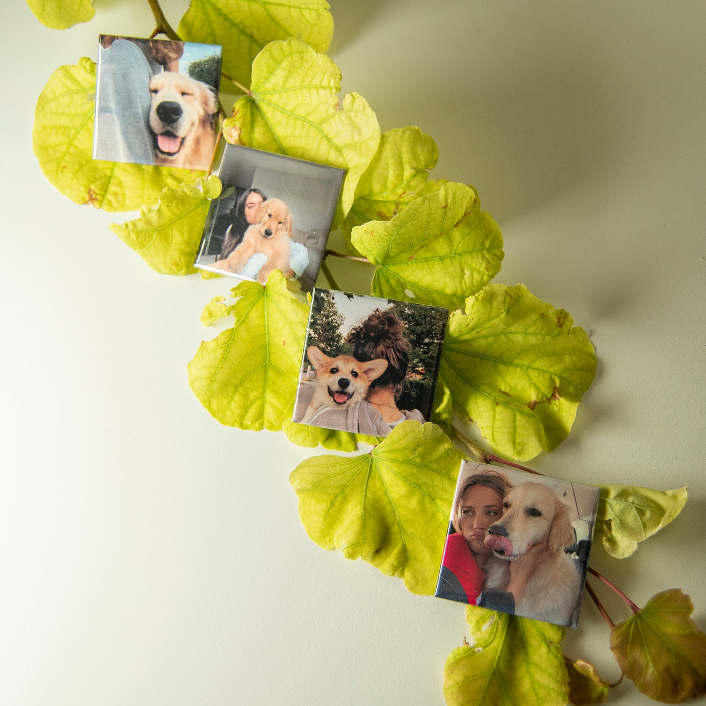 Calamite Personalizzate - Set da 6, 9 o 12