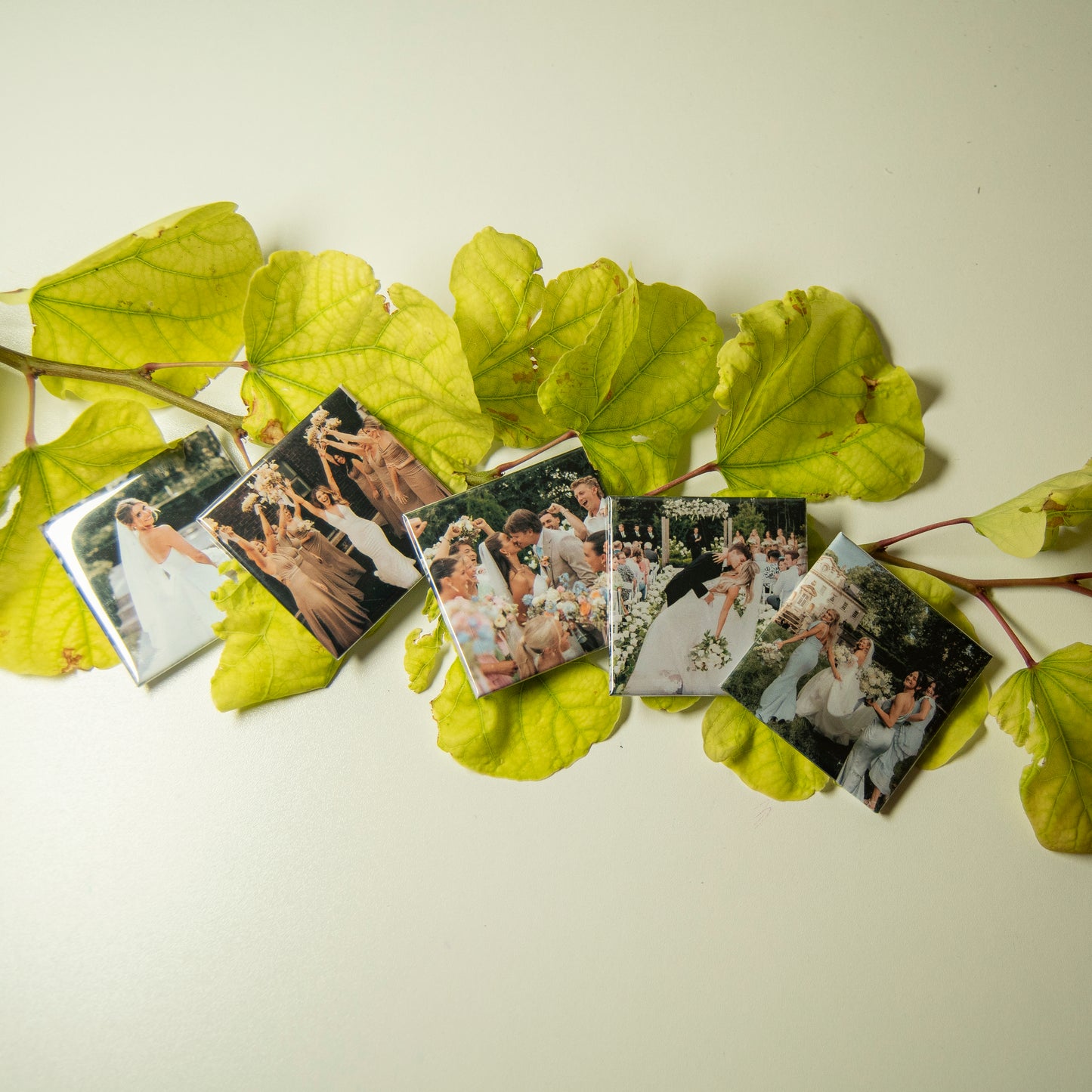 Calamite Personalizzate - Set da 6, 9 o 12