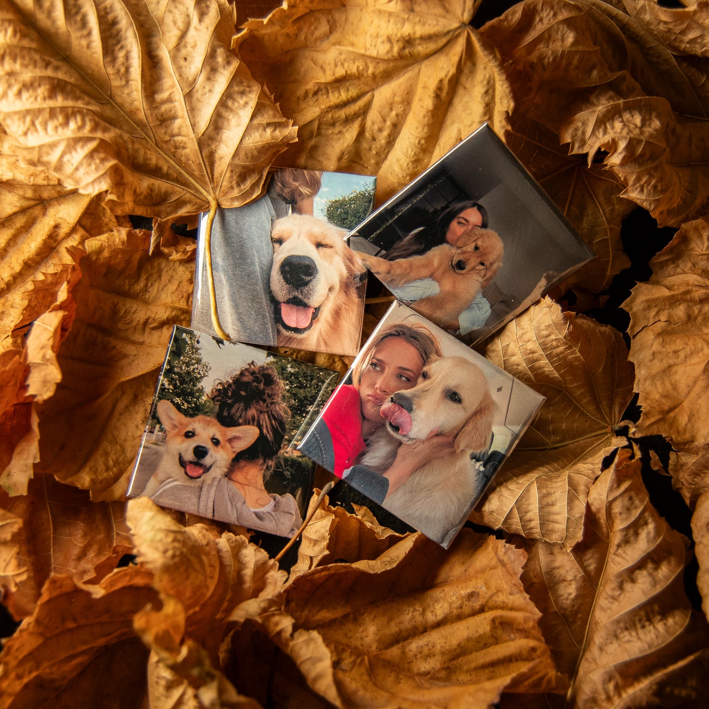 Calamite Personalizzate - Set da 6, 9 o 12